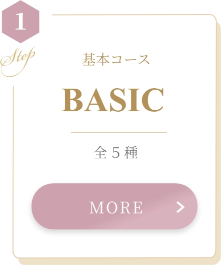 基本コース BASIC 全5種 MORE