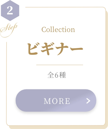 Collection ビギナー 全6種 MORE