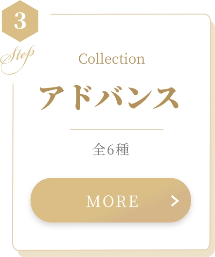 Collection アドバンス 全6種 MORE