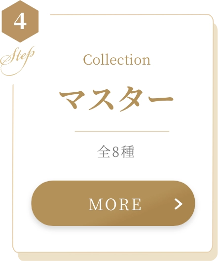 Collection マスター 全8種 MORE